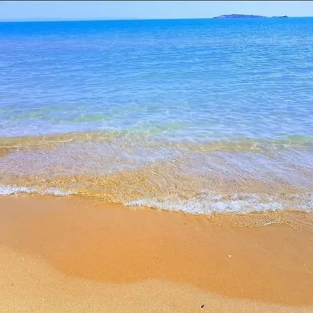 1 Bedroom In Sunny Dream Complex Sunny Beach